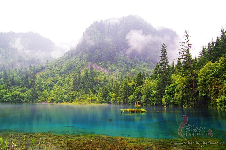 九寨沟五花海的蓝绿色湖水与森林