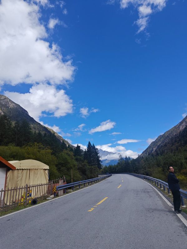理小路穿行雪山森林的蜿蜒公路
